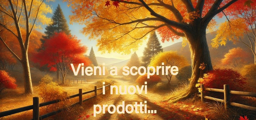 Autunno offerte